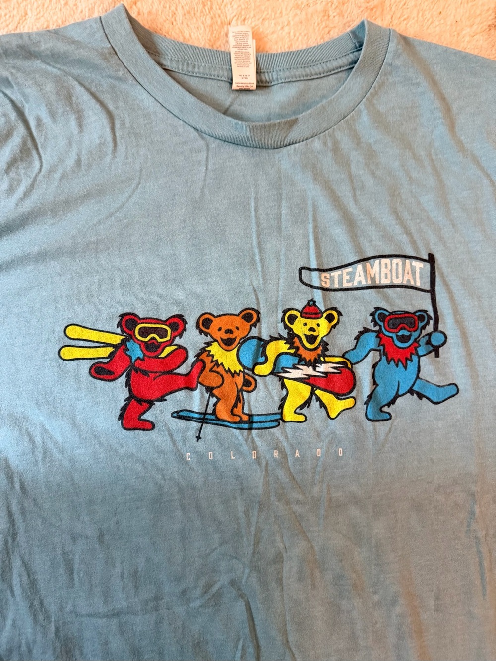 Grateful Dead Ski Bear Graphic tee